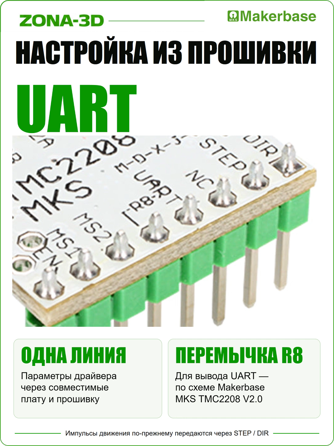 GCvr0ibZTD.webp
